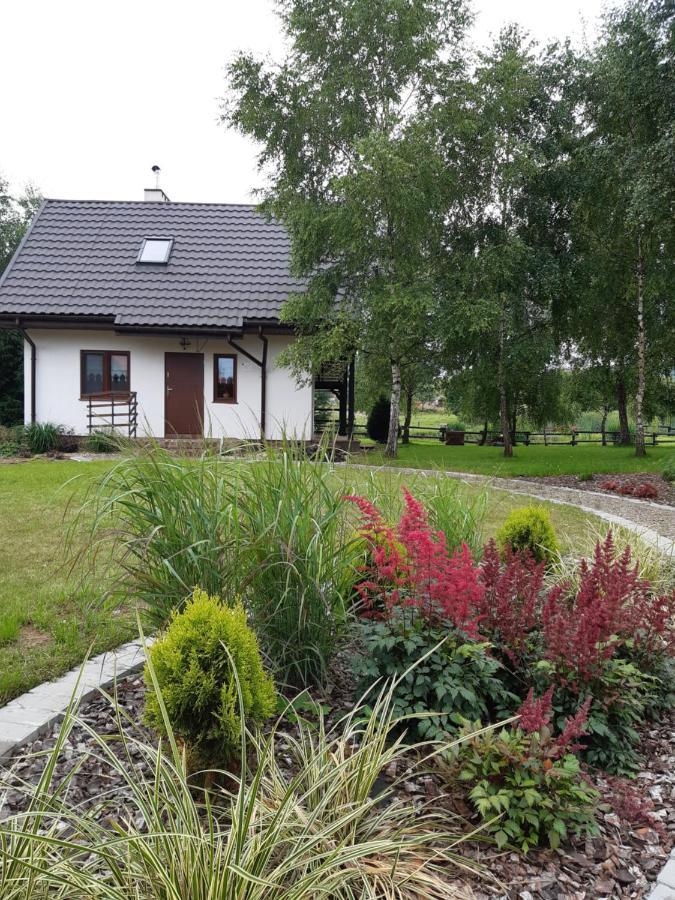 Bies Czadowy Zakatek Ferienhaus